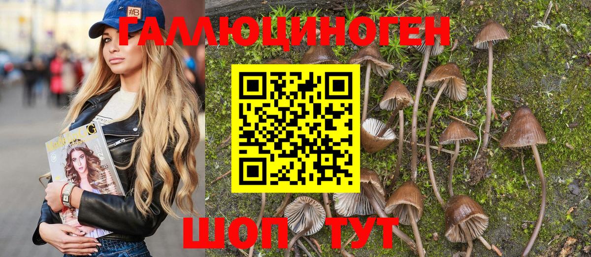 Псилоцибиновые грибы Magic Shrooms Уссурийск