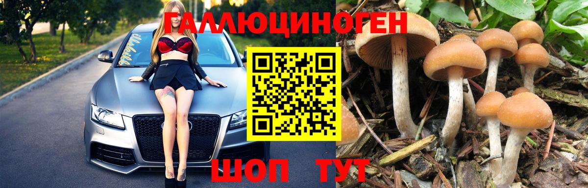 Галлюциногенные грибы Psilocybine cubensis  Вход с VPN  где можно купить   Уссурийск 